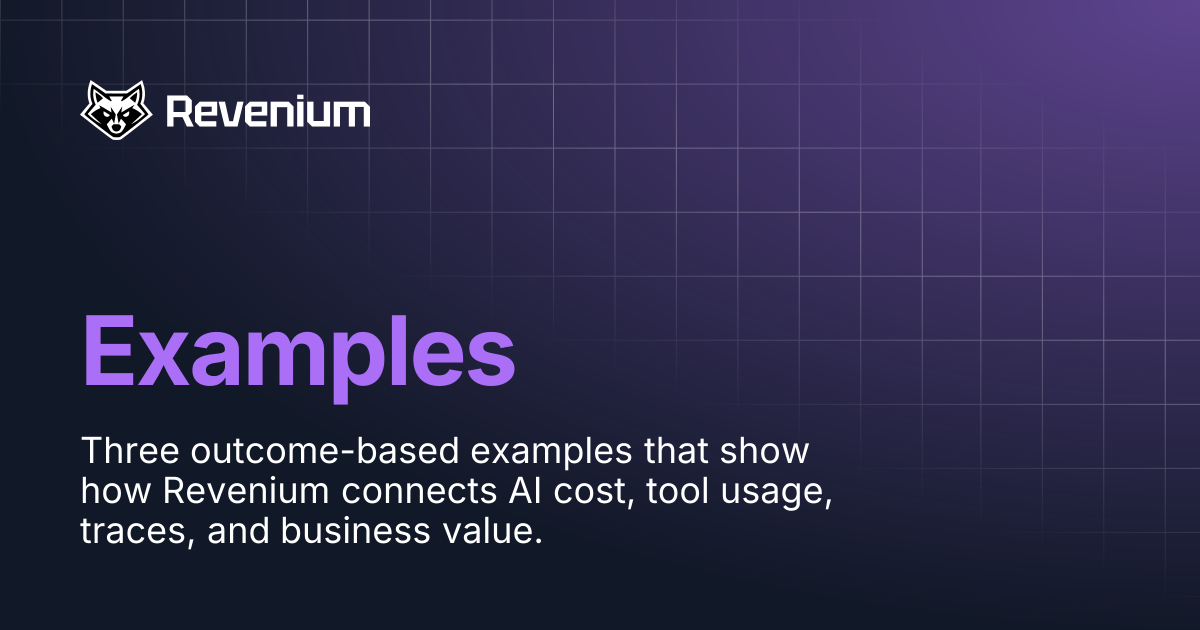 Examples | Revenium Docs