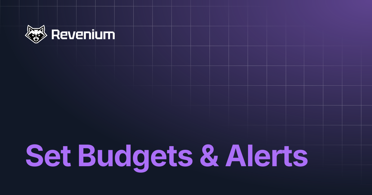 Set Budgets & Alerts | Revenium Docs